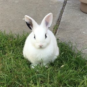 Meet your Posher, Beibei